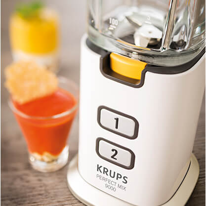 KRUPS PERFECT MIX MINI BLENDER