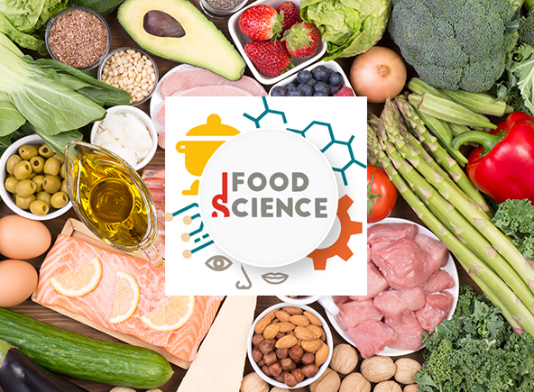 LA CUISINE, AU COEUR DE LA RECHERCHE
