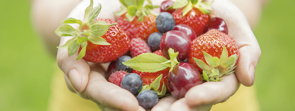 Sustainable Food 2030