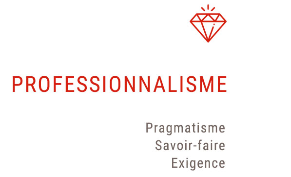 professionnalisme